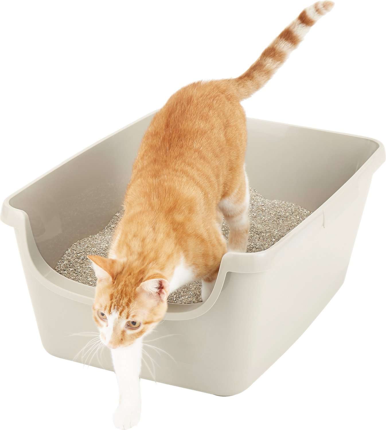 Frisco High Sided Cat Litter Box, Gray, Extra Large 24