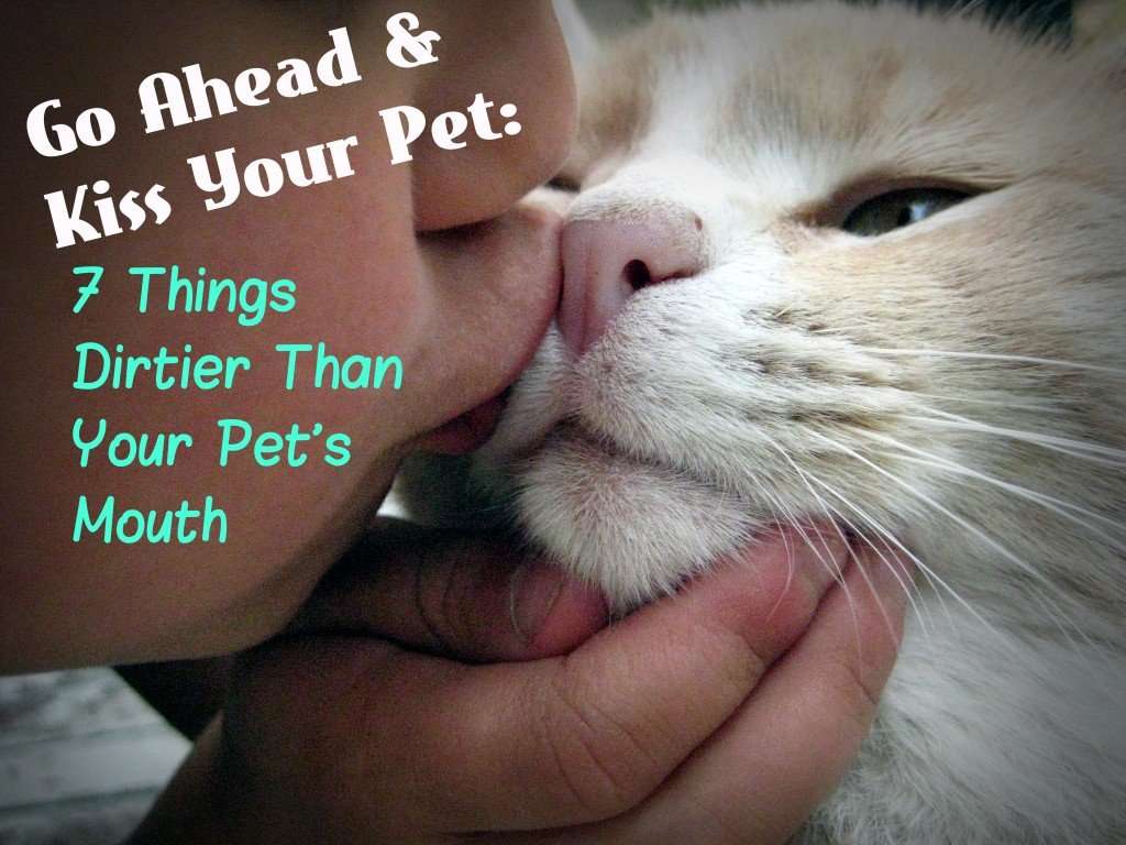 Go Ahead, Kiss Your Pet: 7 Things Dirtier Than Your Cat