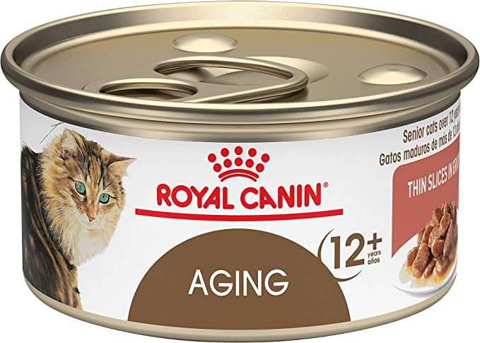 Healthy High Calorie Wet Cat Food To Buy In 2020