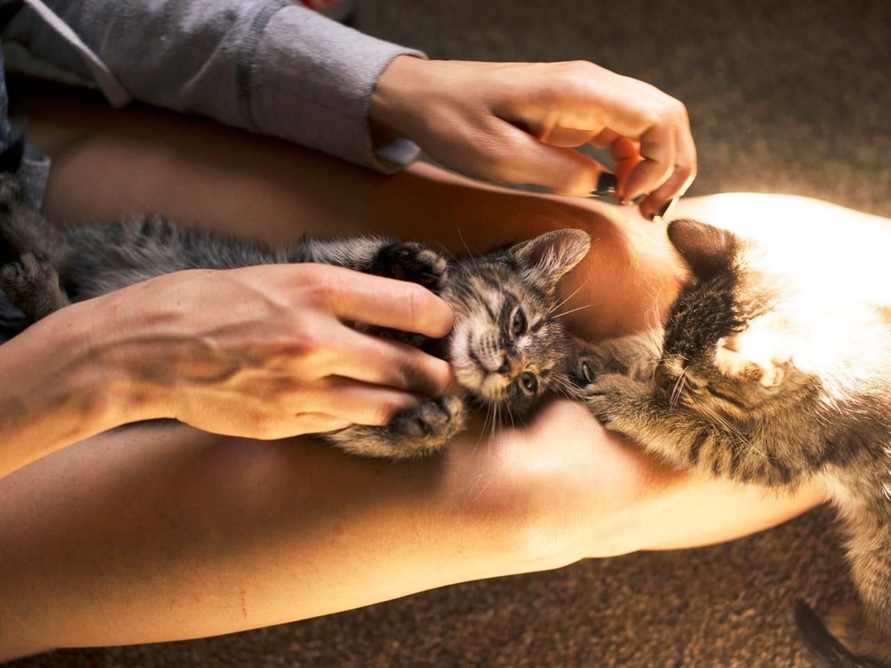 Here Are 9 Ways to Deal With a Pet Allergy if You Love Animals