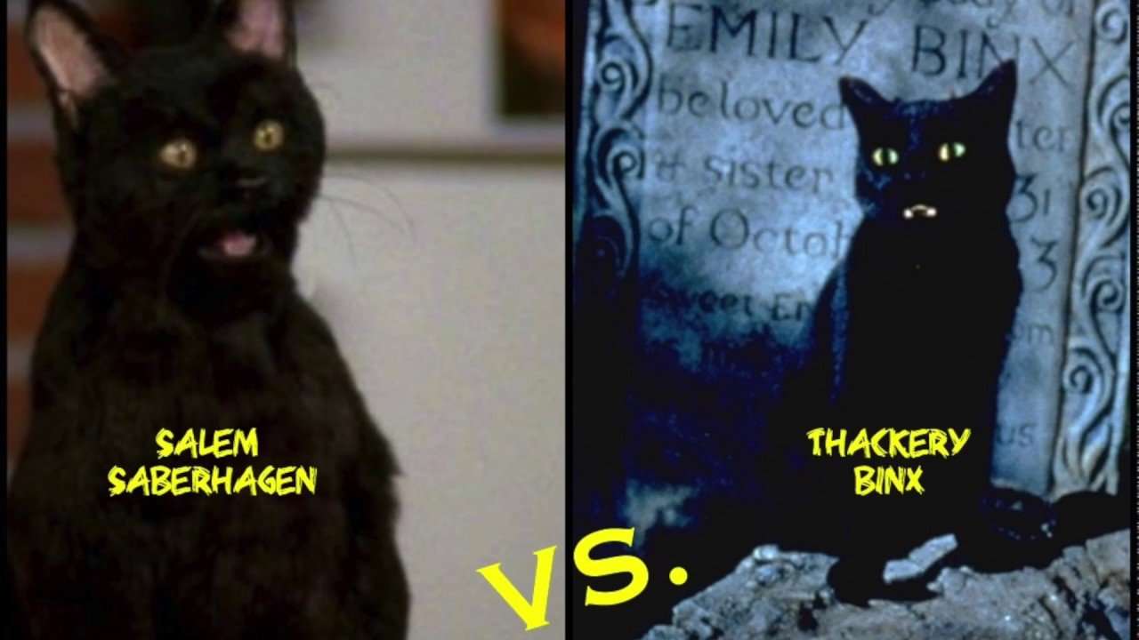 Hocus Pocus vs. Sabrina: The Magical Talking Black Cat ...