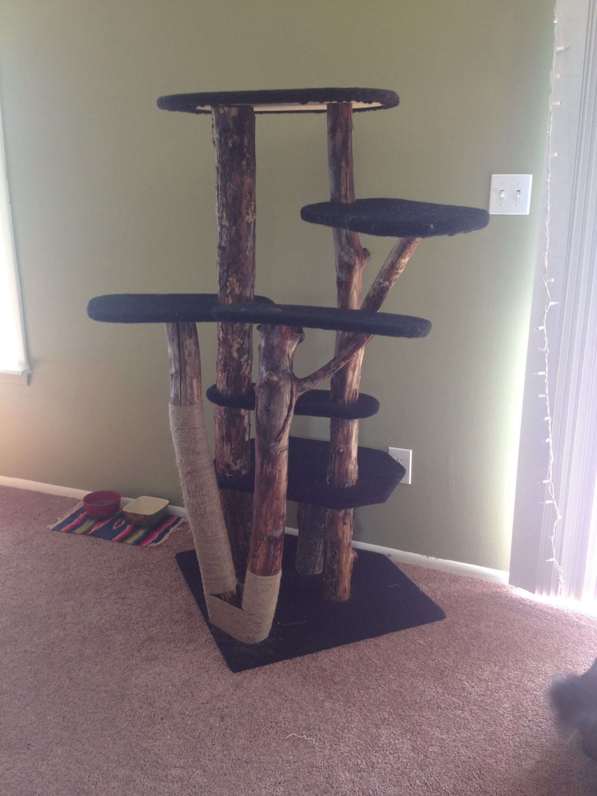 Homemade cat tree that I made!