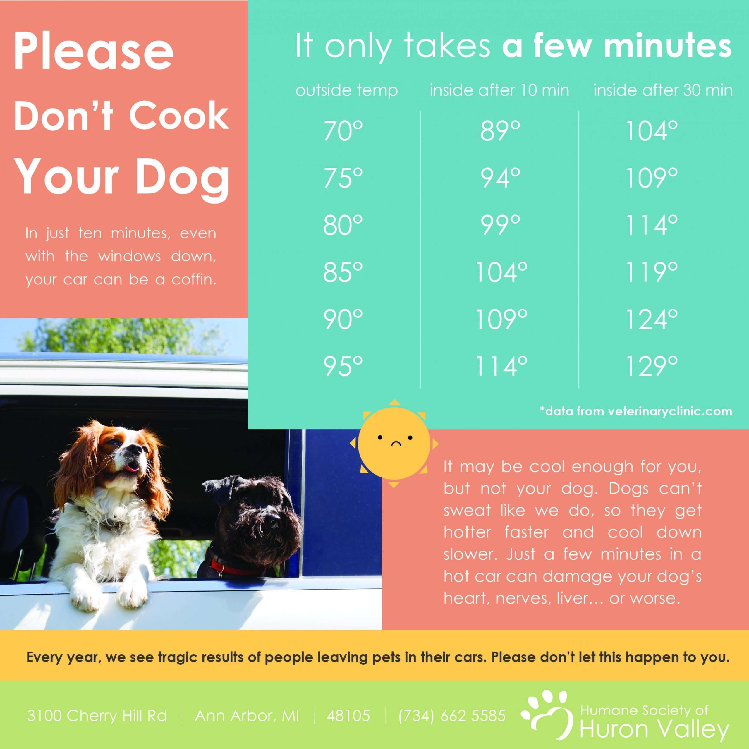 Hot days, but please not hot dogs! Dogs don