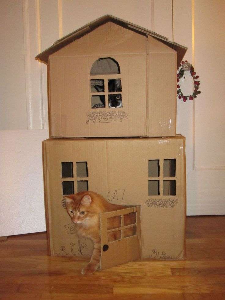 how to build an easy cat house