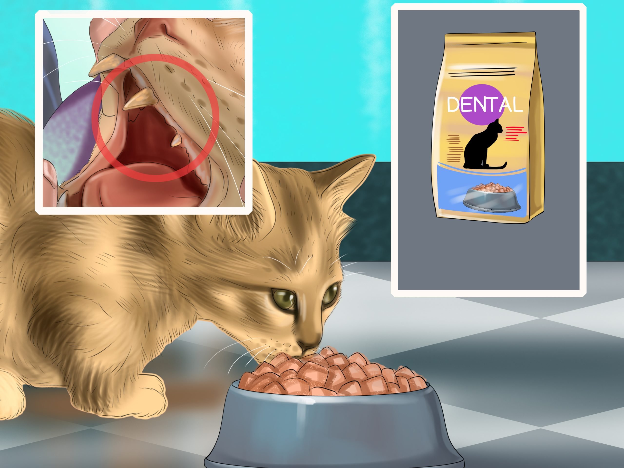 How to Choose a Diet for an FIV Cat: 8 Steps (with Pictures)