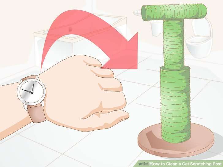 How to Clean a Cat Scratching Post: 3 Steps