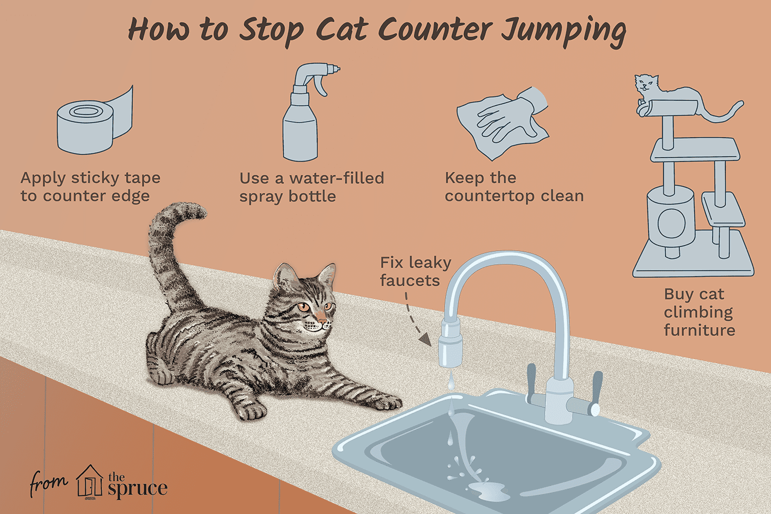 How To Keep Cats Off Counters And Tables