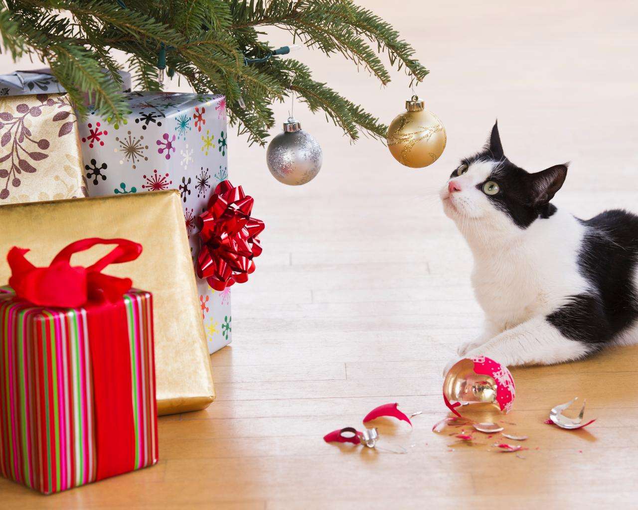 How to Keep Cats Out of Christmas Trees