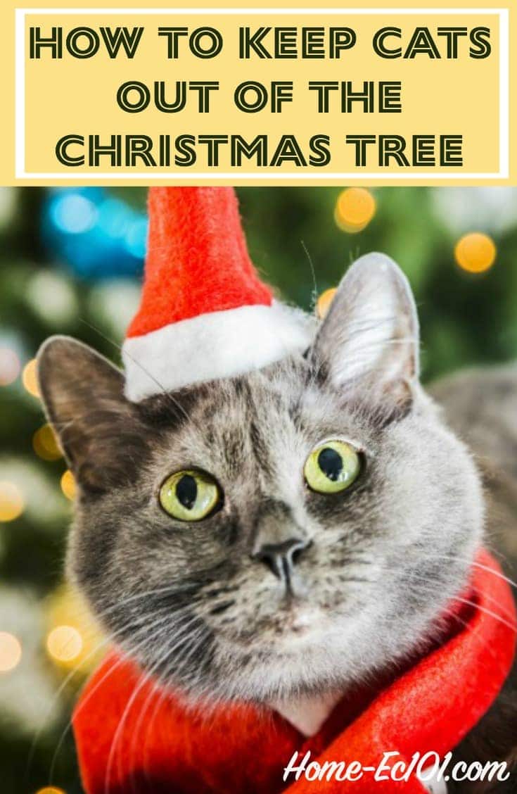 How to keep cats out of the Christmas tree