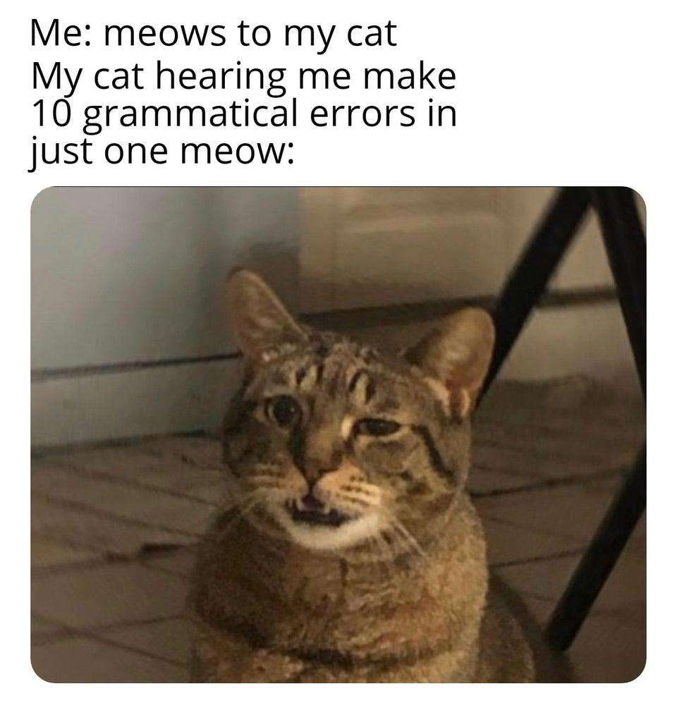 How To Make A Cat Meow