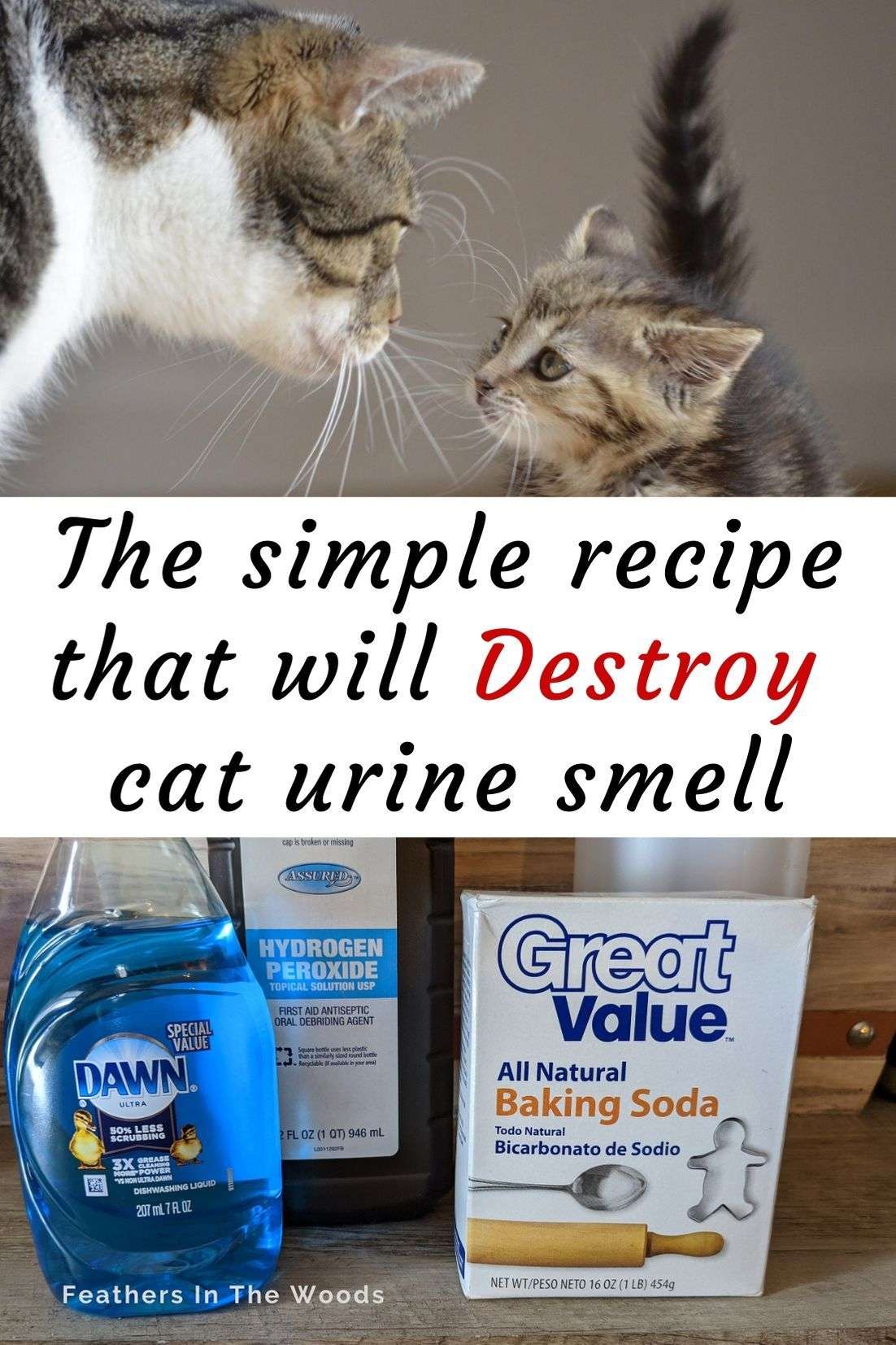 How To Remove Cat Urine Smell From Suitcase