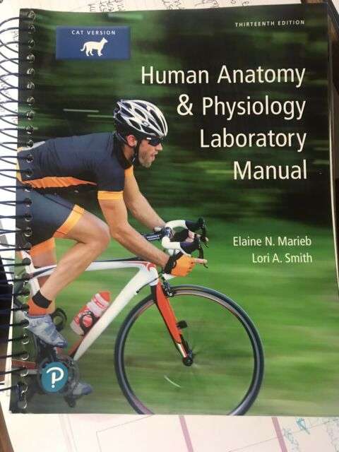 human anatomy and physiology laboratory manual Thirteenth ...