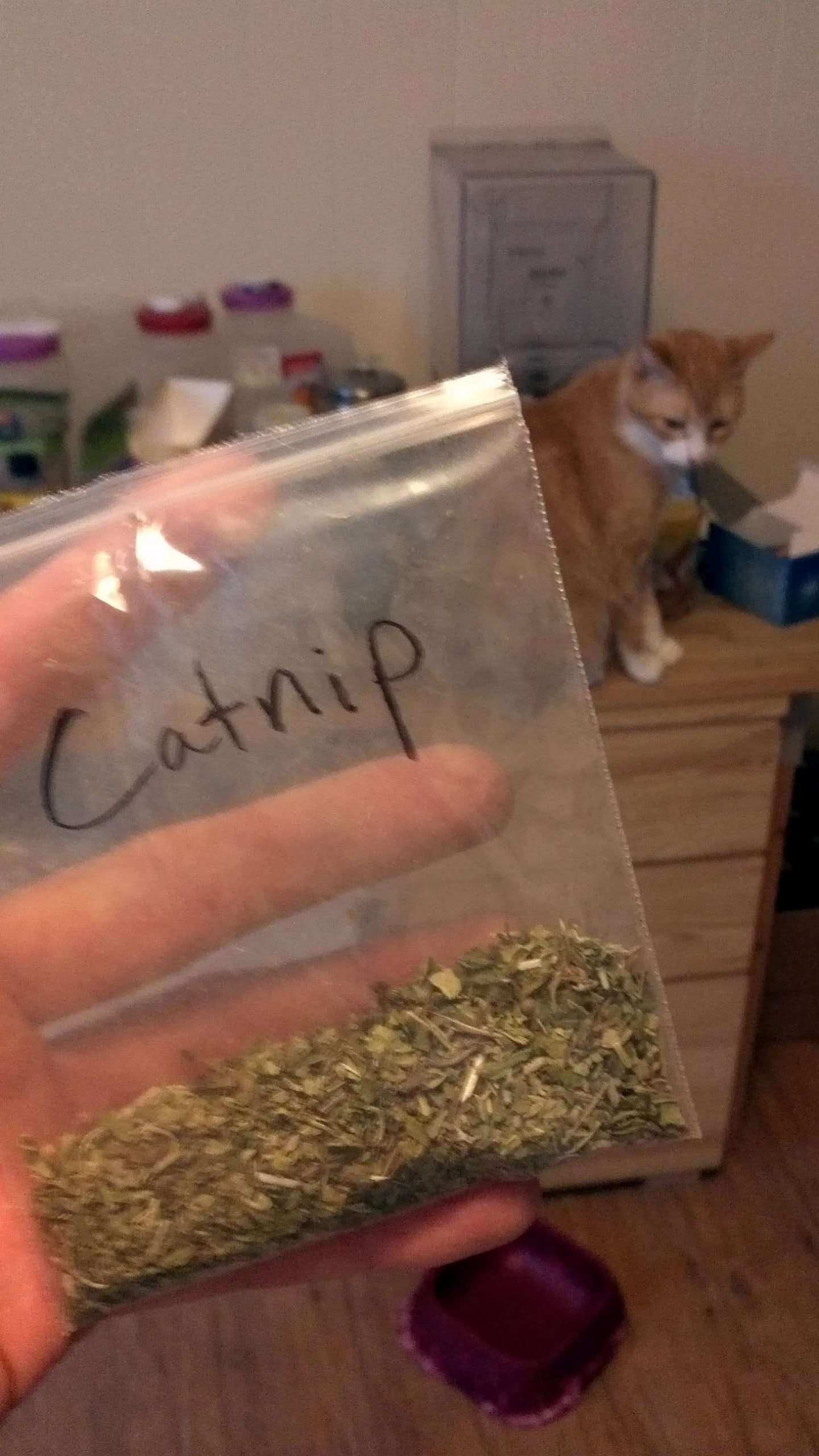 If you have to label your catnip so that your roommate ...