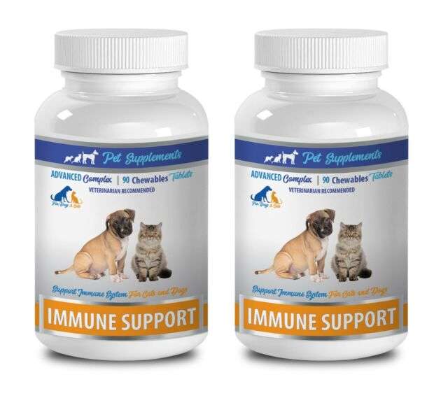 immune system for cats