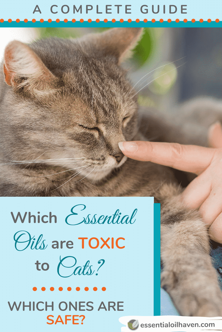 Is cedarwood oil safe for cats