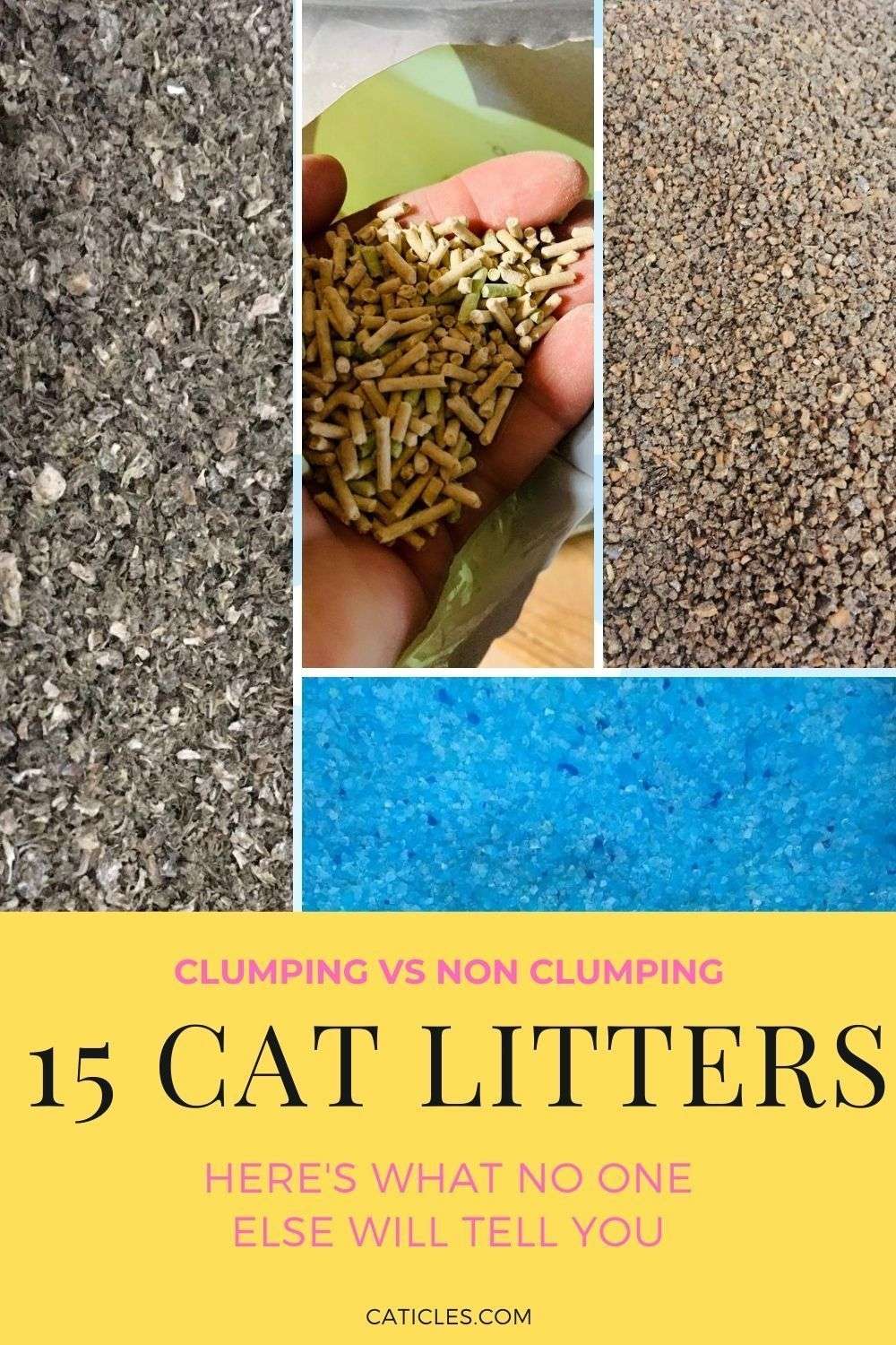 Is Clumping Litter Bad for Cats? Complete Guide [2020] in ...