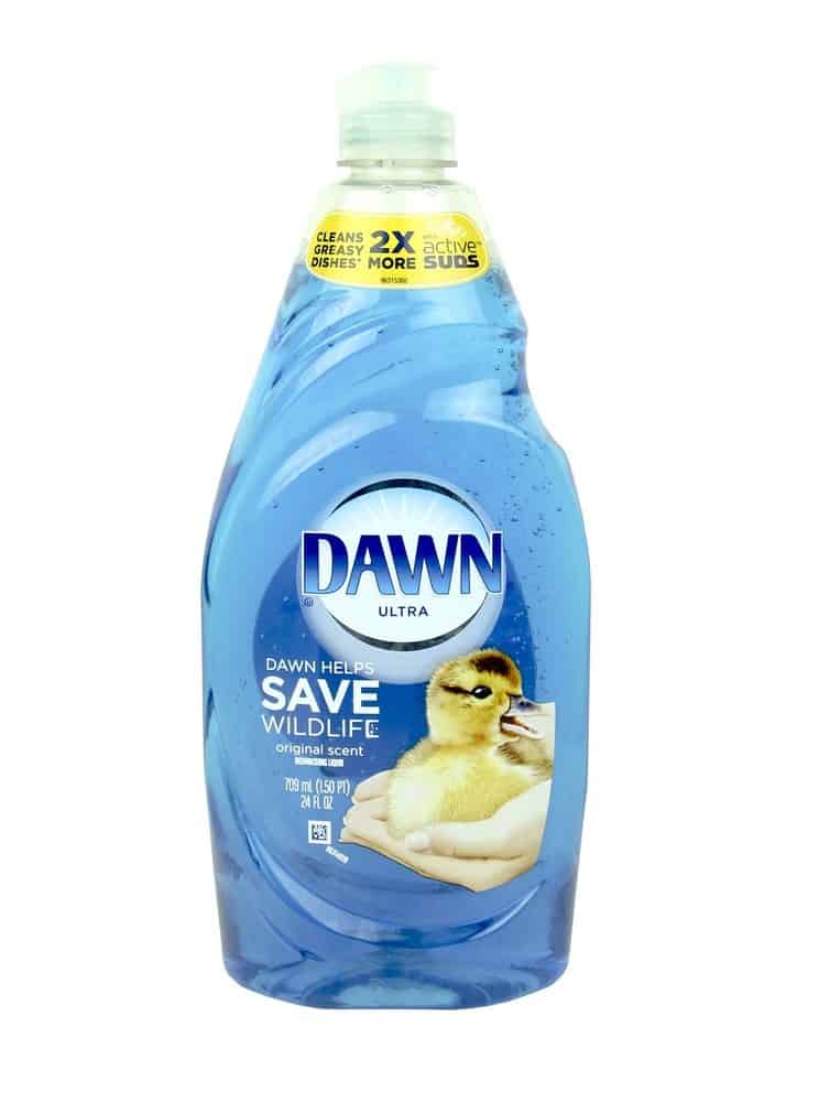 Is Dawn Dish Soap Safe for Cats?