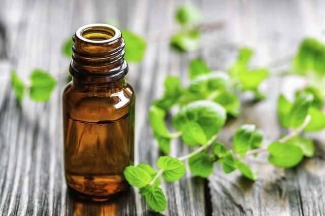 Is Peppermint Oil Harmful to Cats?