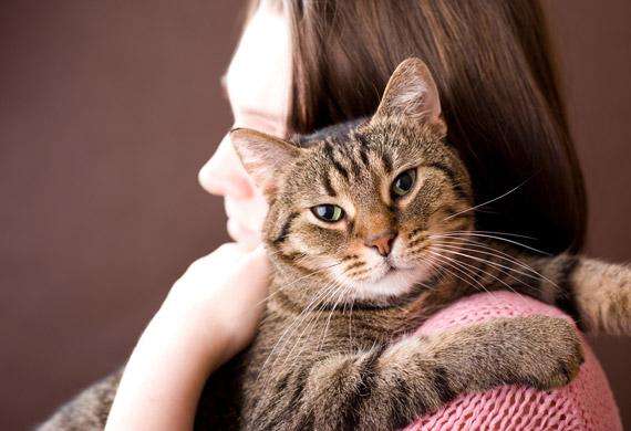 Know What The Symptoms of Cat Separation Anxiety Are