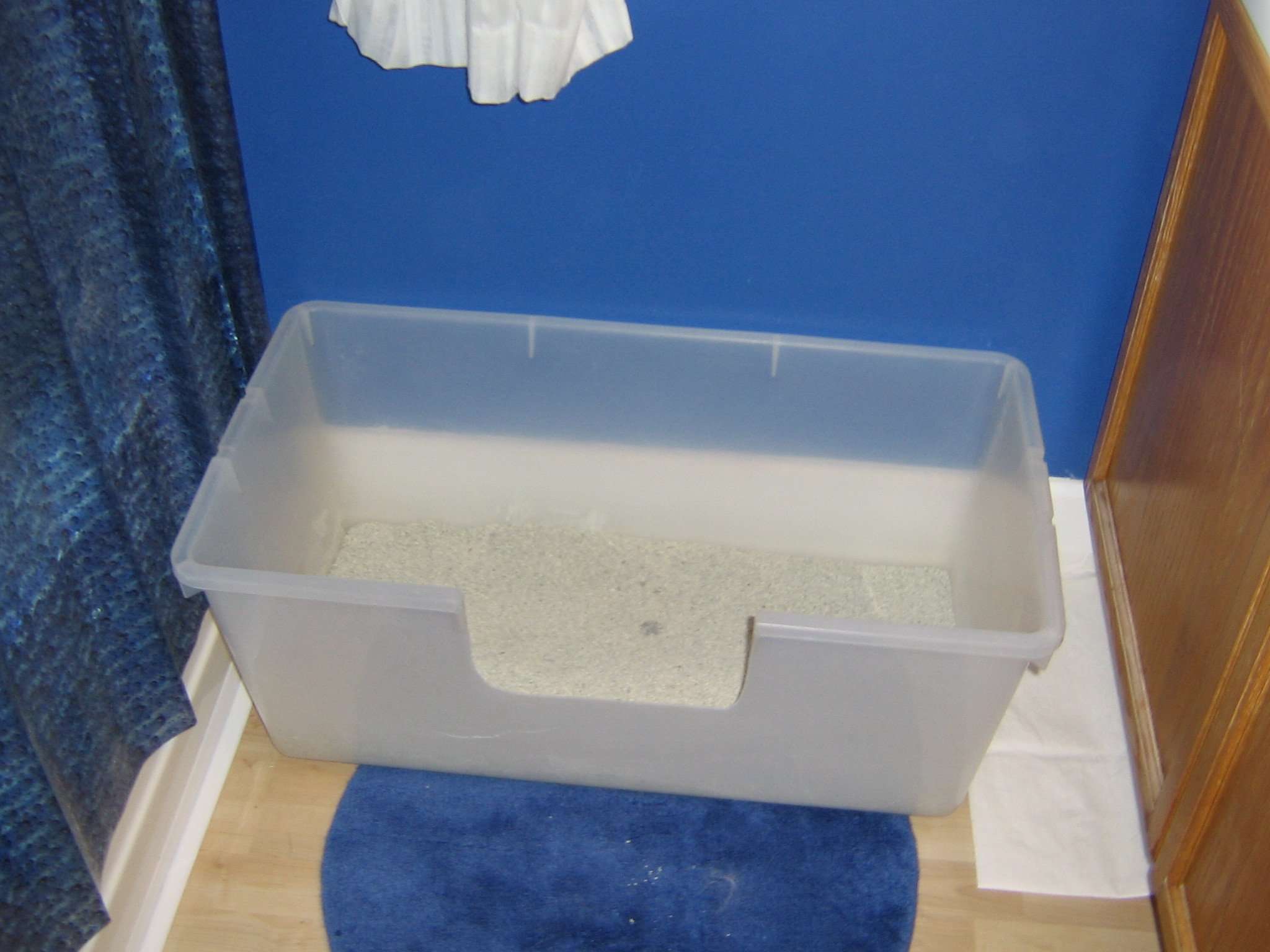 Litter boxes: get the scoop! What kind, how many and where ...