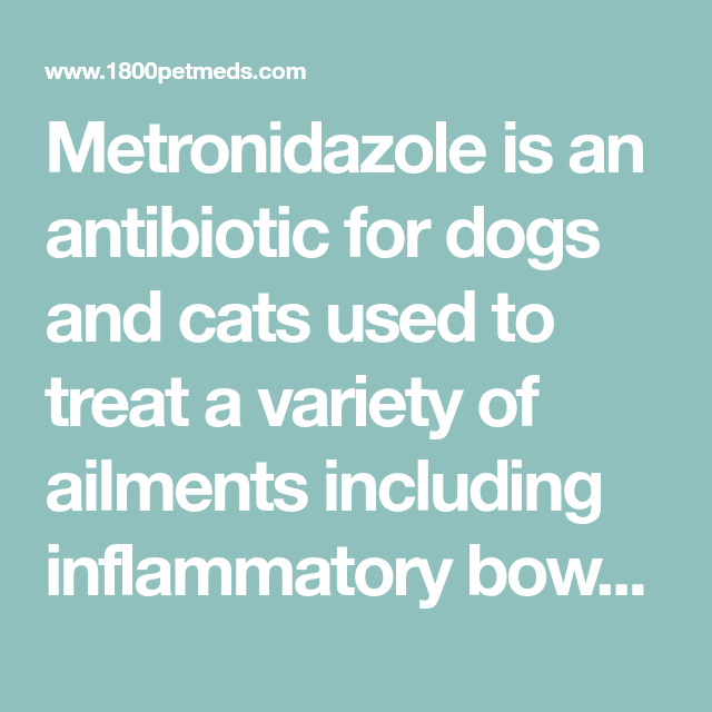 Metronidazole Dosage For Cats With Diarrhea
