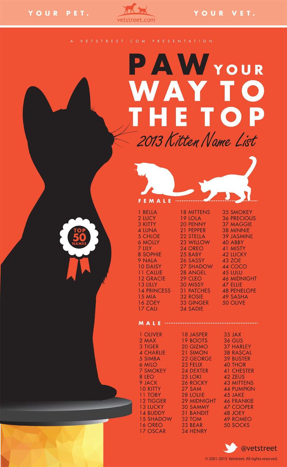 Most Popular Kitten Names 2013