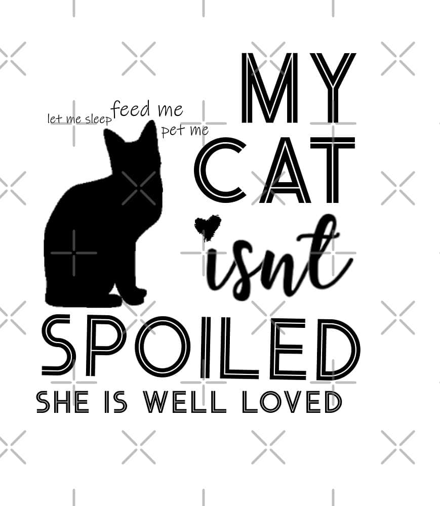 " My Cat isnt Spoiled, She is Well Loved Quote"  by AbbyCreates Art ...