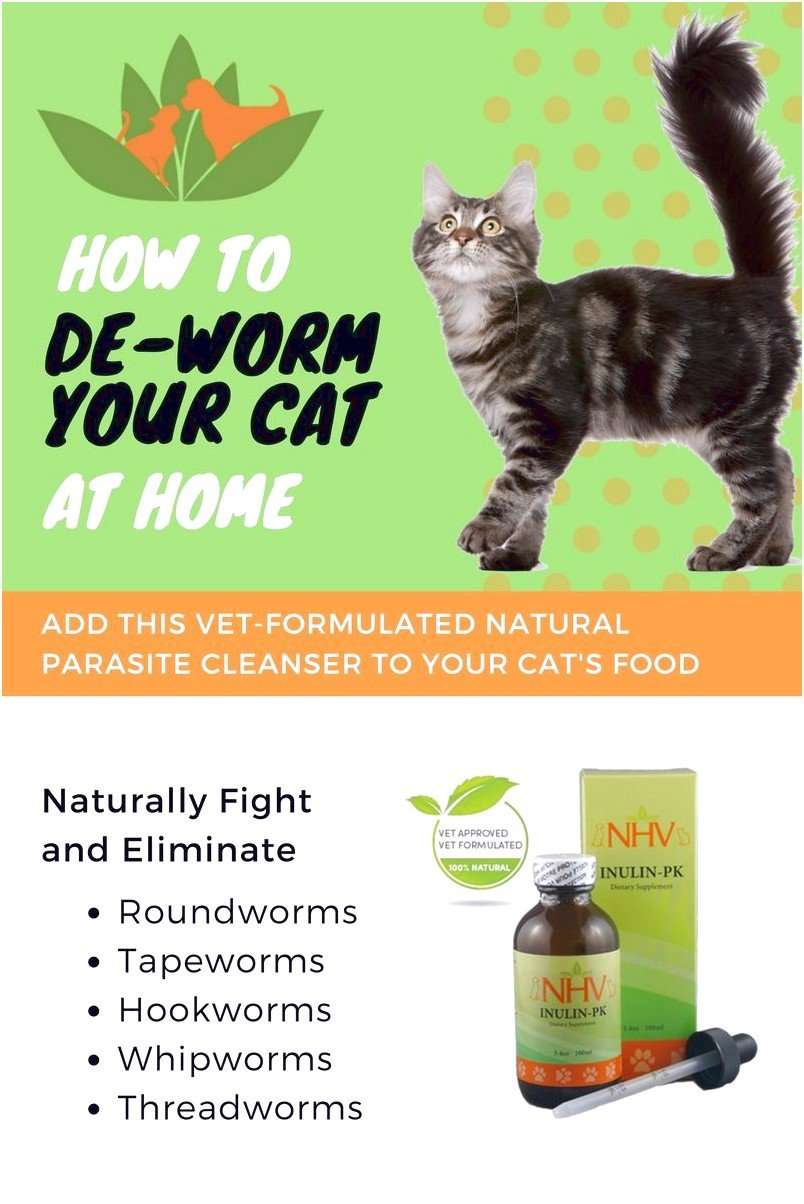 Natural Dewormer For Cats