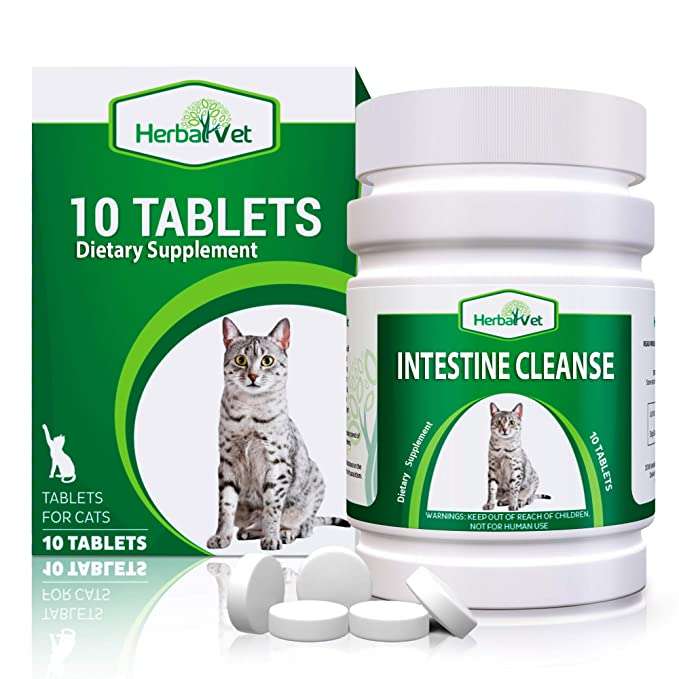 Over The Counter Broad Spectrum Dewormer For Cats