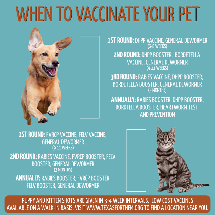 Petco Vaccinations Prices For Cats