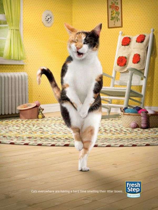 Photo: Cute Fresh Step Cat Litter Advertisement, This Kitty Has to " Go ...