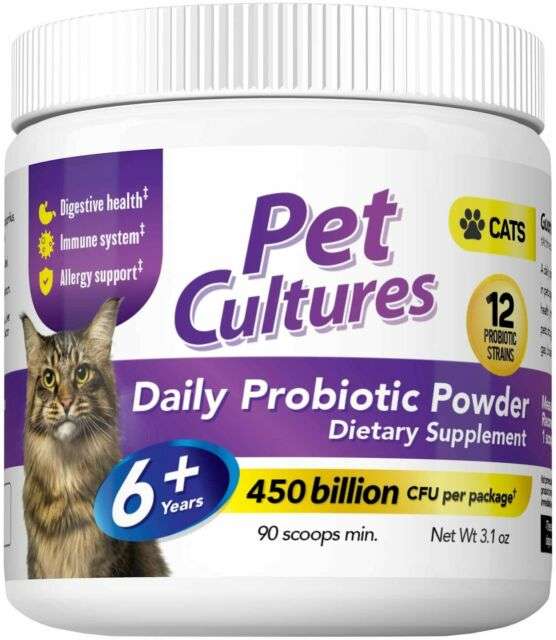 Probiotic Powder Cat Food SupplementcSupports Immune ...
