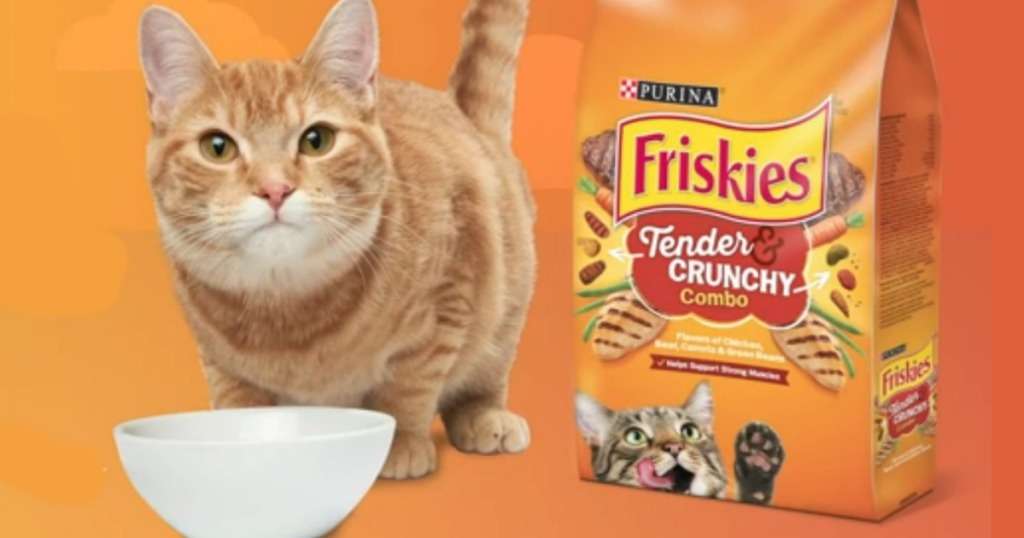 Purina Friskies Dry Cat Food 6.3lb Bag Only $4.72 Shipped on Amazon ...