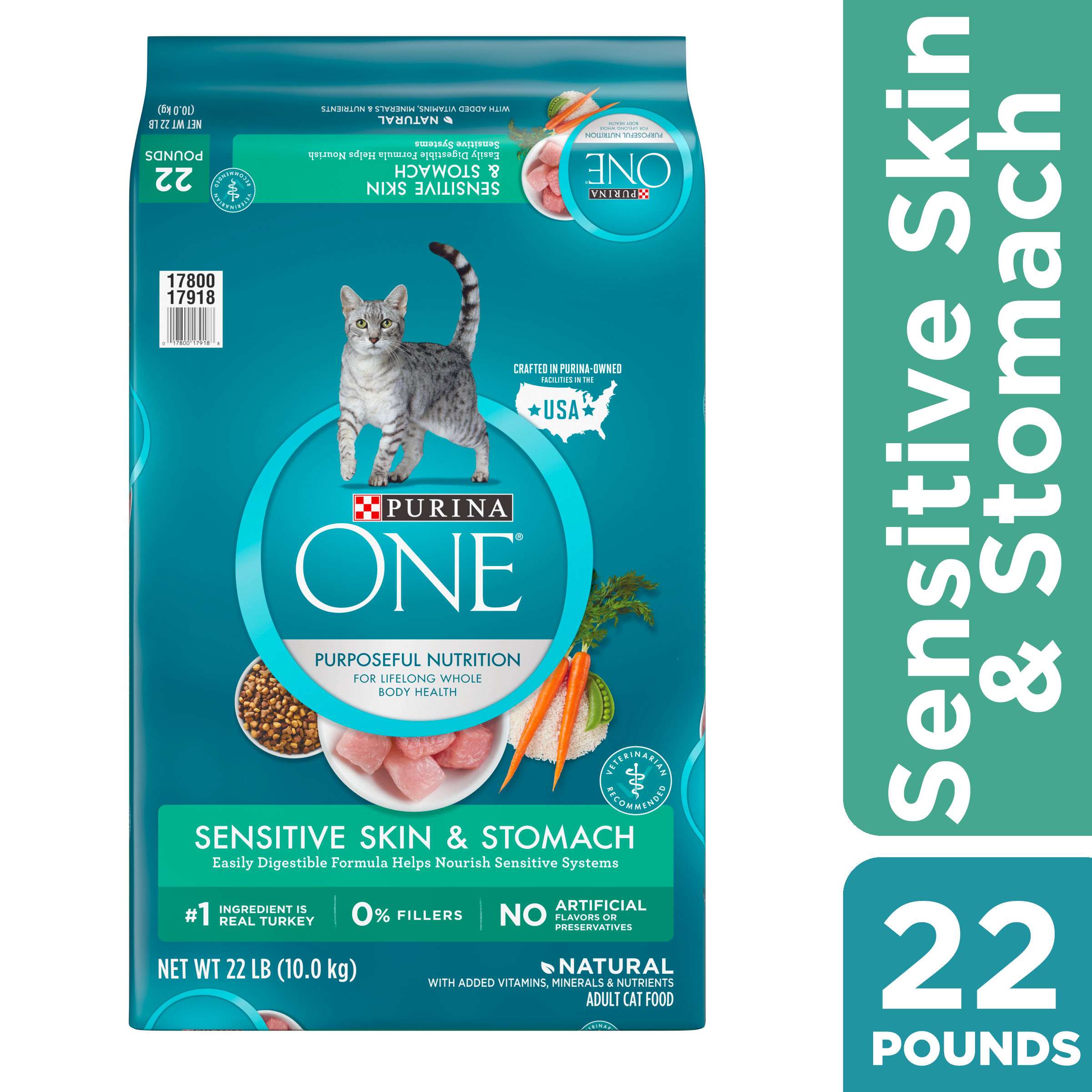 Purina ONE Natural Dry Cat Food, Sensitive Skin &  Stomach Formula, 22 ...
