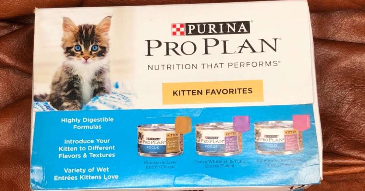 Purina Pro Plan Canned Kitten Food 24