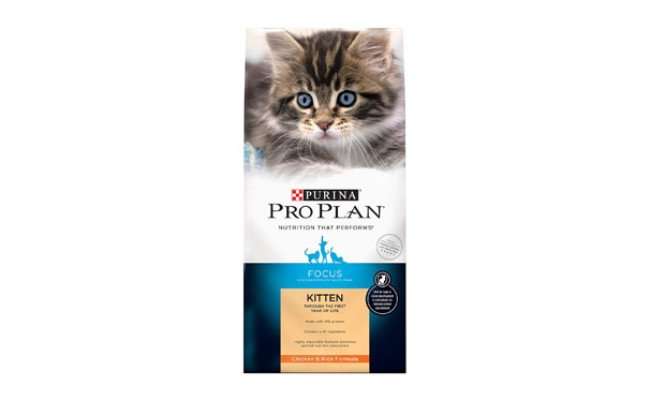 Purina Pro Plan Cat Food Review