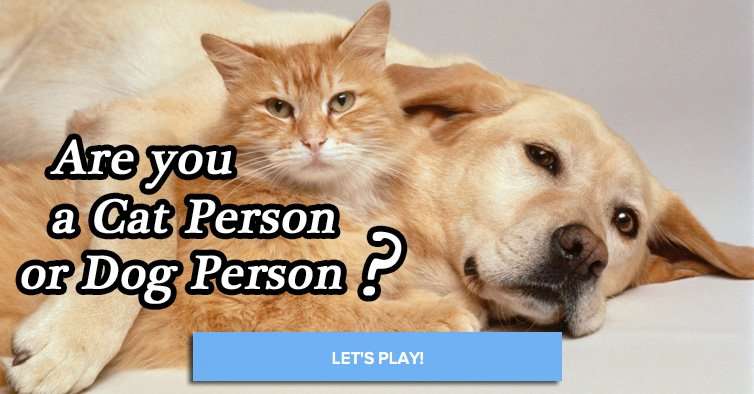 Quiz: Are You a Cat Person or a Dog Person?