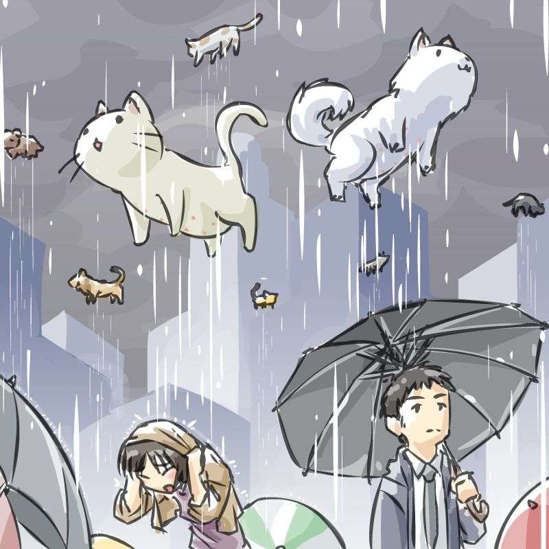 Raining Cats And Dogs Idiom Meaning