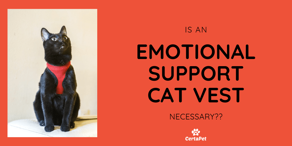 Register Emotional Support Animal Cat Free / Vest ...