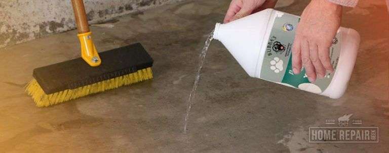 Remove Dog and Cat Urine Odor from Concrete: 3 Easy Steps!