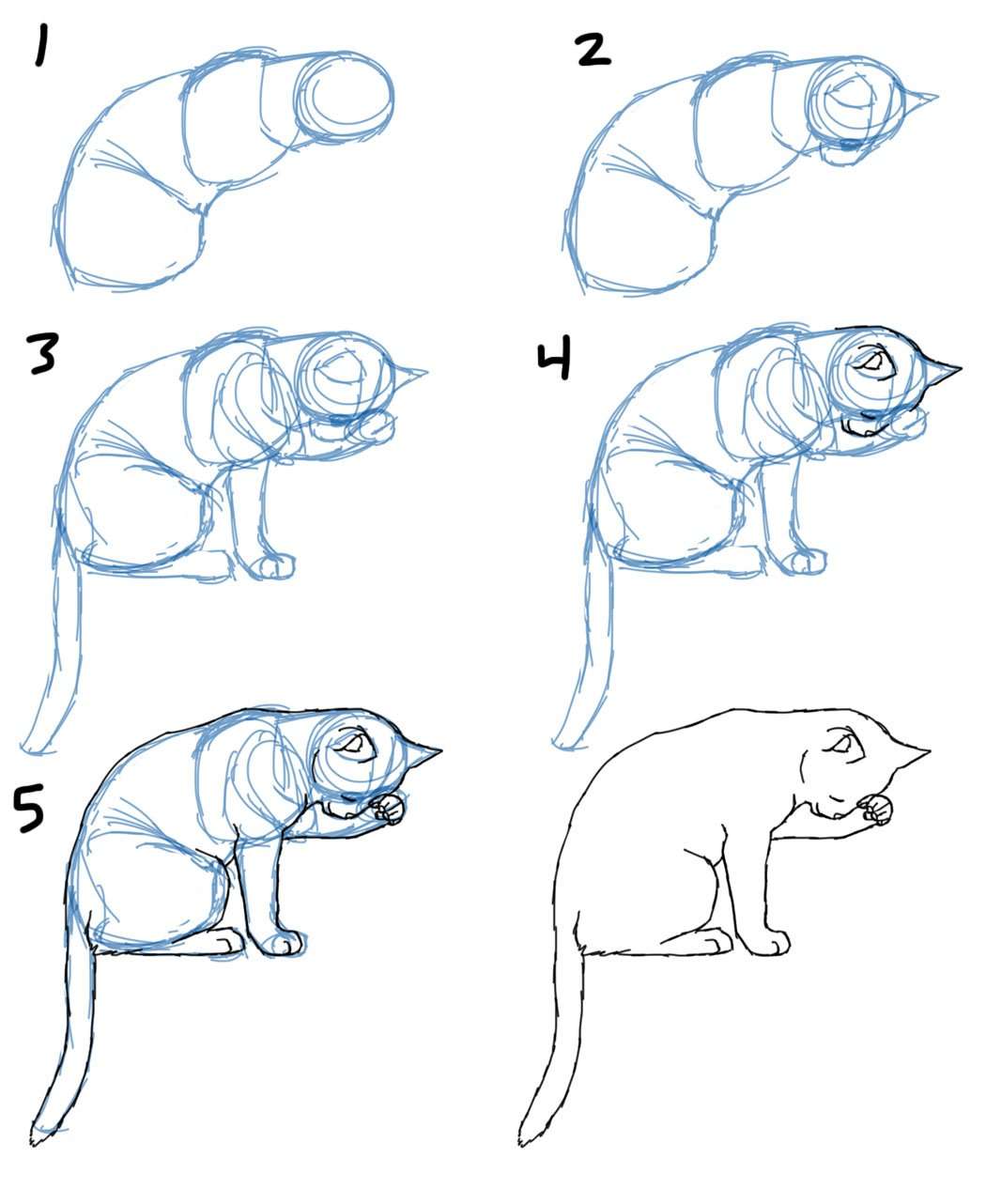 Savanna Williams: How to Draw Cat Bodies in Poses
