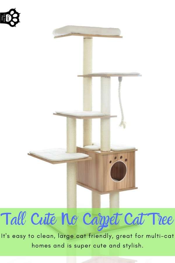 Tall Cute No Carpet Cat Tree Review