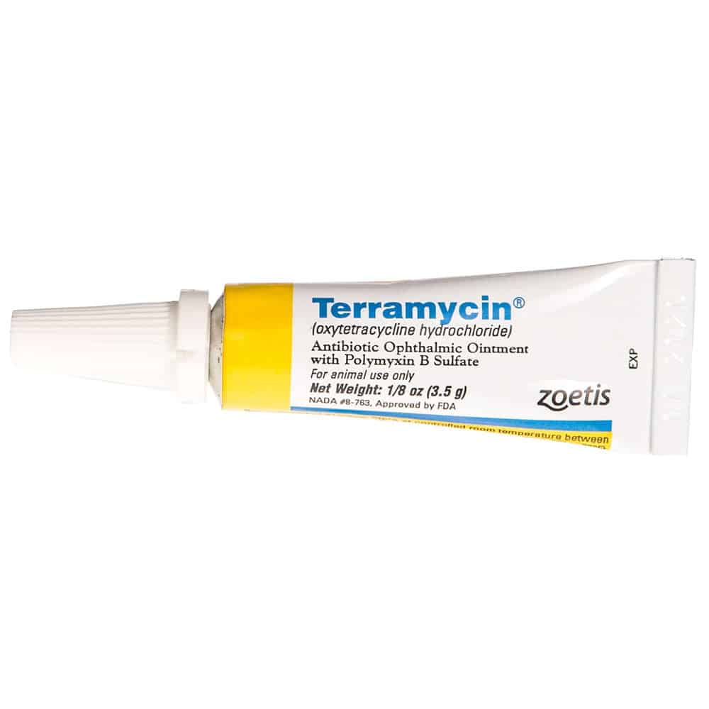 Terramycin Ophthalmic Ointment for Dogs, Cats and Horses