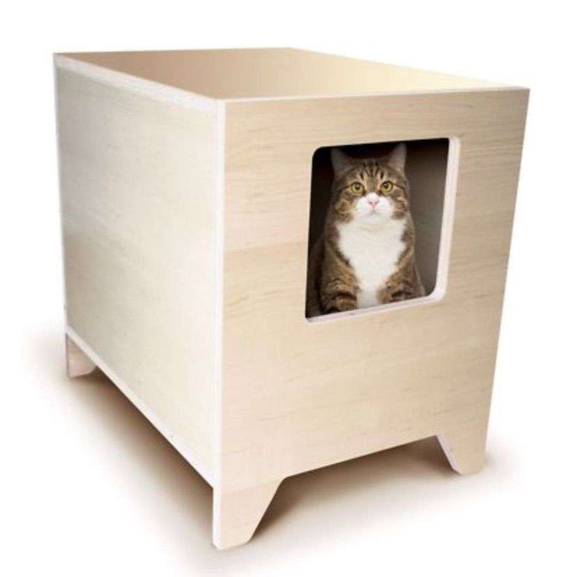 The 8 Best Litter Box Enclosures of 2021