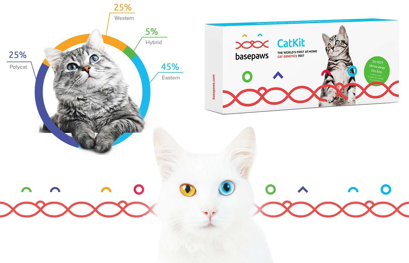 The Best Cat DNA Test Kit: Reviews &  Ratings for 2020