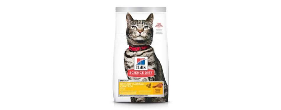The Best Cat Food for Constipation (Review) in 2020