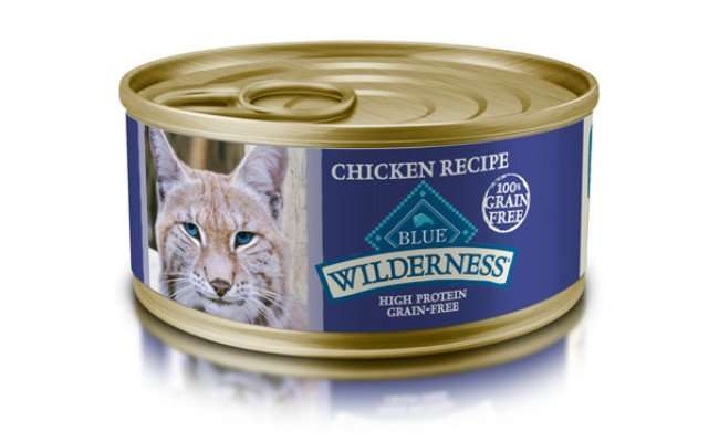 The Best High Calorie Cat Food for Weight Gain (Review) in ...