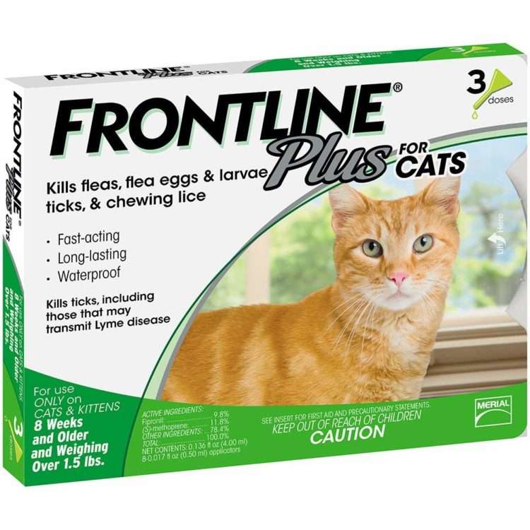 Top 10 Best Flea Control Products for Cats Reviewed in 2019