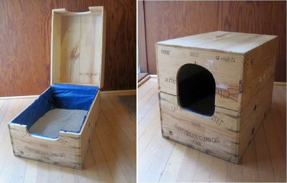 Top 10 Ingenious Ways to Hide Your Cat