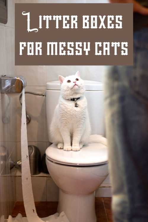 Top 4 Best Cat litter box for messy cats 2020 Keep it clean
